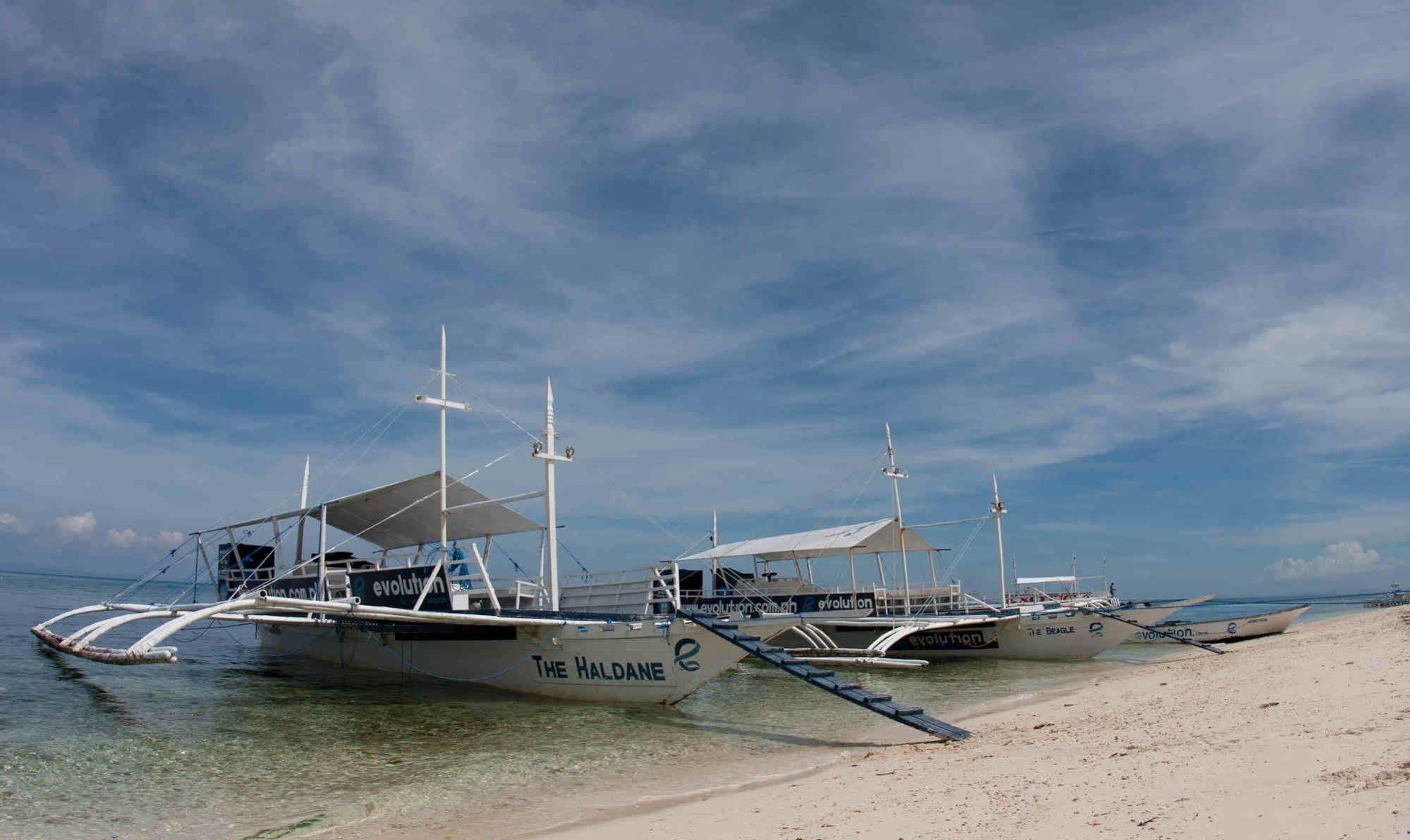 Evolution Dive And Beach Resort Malapascua Eksteriør billede