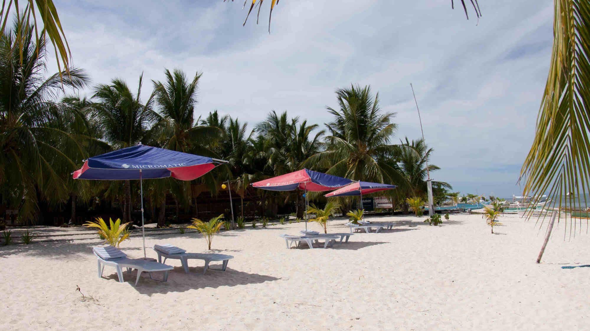 Evolution Dive And Beach Resort Malapascua Eksteriør billede
